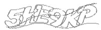 Check code